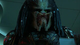 【Predator】Why don't the Predator kill the woman who takes off her clothes?