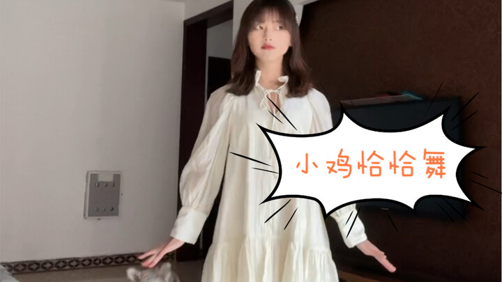 看着不太聪明的样子【小鸡恰恰舞】