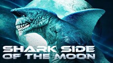 Shark Side Of The Moon 2022