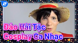 Đảo Hải Tặc Cosplay Ca Nhạc, Cô Ấy Là Gu Của Cậu À?_2