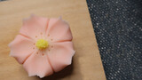 How to make Japanese sweet [Sakura]