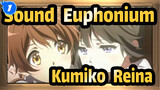 [Sound! Euphonium] Kumiko Oumae&Reina Kousaka--- Dream and You, I'll Get All_1