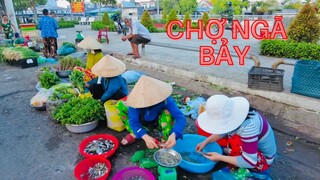 Đi Chợ Ngã Bảy Phụng Hiệp Sáng Sớm | MienTayTV