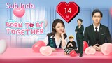 (Sub Indo) Born to be Together Eps.14 END