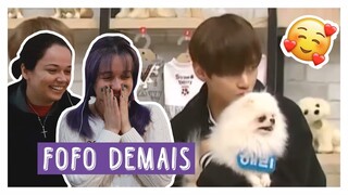 REAGINDO À 'BTS COM ANIMAIS' #SEMANABTS