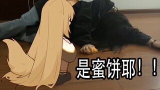 【明日方舟】当小刻看到博士晕倒，但手握蜜饼