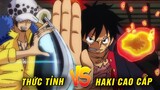 Thức tỉnh Trái Ác Quỷ vs Haki Cao Cấp cái nào mạnh hơn : Luffy tương lai toàn diện tất cả ?