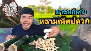 แกงเห็ดในไม้ไผ่ สูตรเด็ด!! จะกินได้ไหม [อ้ายนาวินCHANNEL]