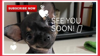 Hey you! See you soon! | SUPER MARCOS VLOGS