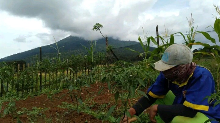 suasana yang adem ayem