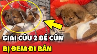 Cảm động câu chuyện GIẢI CỨU 2 bé cún trên đường bị ĐEM ĐI BÁN | Yêu Lu