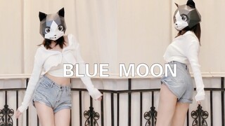 [Sister Cat Head] Terobsesi dengan kaki yang indah! Adik Kucing yang Energik! Cover "Bulan Biru" Hyo