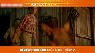 [Review Phim] Chú Chó Bị Bỏ Rơi Đi Tìm Chủ Rồi Hoá Kiếp Trong Vô Vọng #filmhay