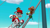 Paw Patrol - Pups Save The Kitty Rescue Crew Rescue Episode