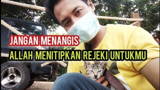 Anak Kucing Kelaparan Mencari Makan Sendirian Di Jalanan Pas Di Peluk Induknya Datang Dan Sedih..!