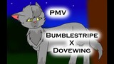 [PMV] Bumblestripe X Dovewing - Everything You Want
