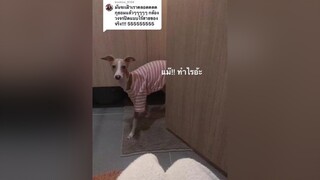 ตอบกลับ   ตอบกลับ  🚽 ว่าจะไม่เล่าละนะ รีวิวชีวิตช่วงนี้ ตํานานเกิดขึ้นได้ทุกวัน