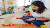 Thú Cưng TV | A Đan Thánh Phun Nướt  Bọt | Lạc Đà thông minh vui nhộn | camel cute Pest