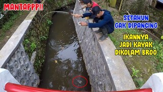 SETAHUN GAK DIPANCING.. Sekarang Selokan Ini Jadi RASA KOLAM!! BANYAK IKANNYA BROO!!