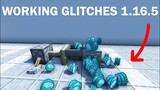 All Working Glitches in Minecraft 1.16.5