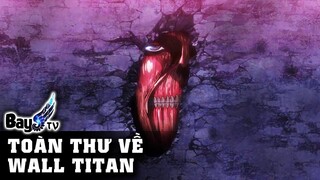 Titan Tường - Titan bí ẩn nhất Aot - Wall Titan