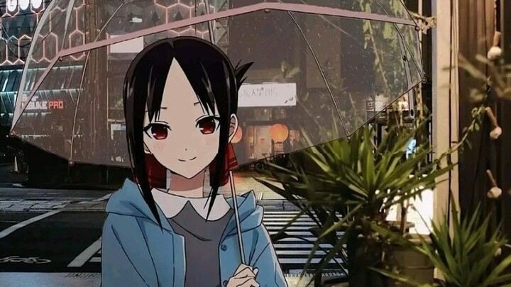 November 17, 2022, cloudy weather "I met Kaguya today. If it were you, could you hold out until Kagu