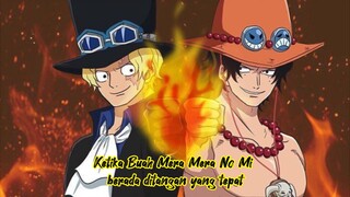 SABO PEWARIS BUAH IBLIS MILIK ACE !!!