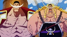 ANAK ASLI SHIROHIGE DI DUNIA ONE PIECE!!?😱