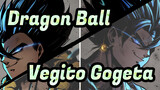 [Dragon Ball] Vegito&Gogeta