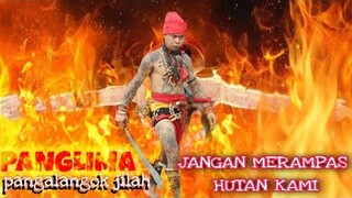 PANGLIMA JILAH🔴 jangan rampas hutan kami dayak