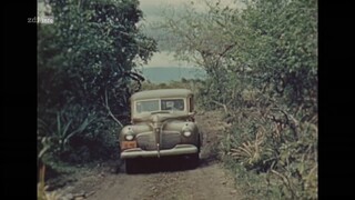 Schatzjäger! Das Vermächtnis der Olmeken