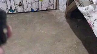 MRM boots