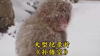 师父与师傅一字之差，却有着天壤之别