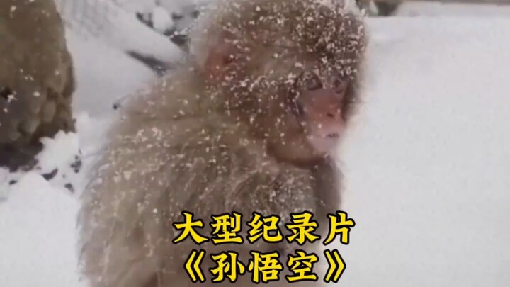 师父与师傅一字之差，却有着天壤之别