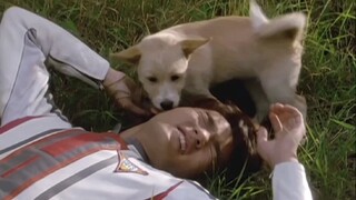 [Ultraman Tiga] Do you still remember this dog?