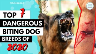 Top 7 Dog breeds with most FATAL dog bites.