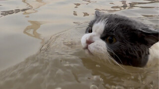 His eyes were as determined as if he was about to take the public examination