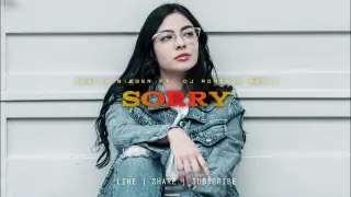 Sorry - Justin Bieber [ Chill Vibe x Bass Remix ] Dj Ronzkie Remix | Philippines | 2022