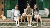 Hyori's Bed And Breakfast S1 Episode 14