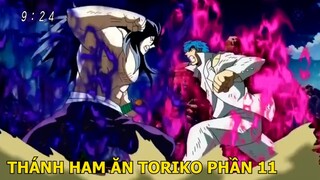 TORIKO TRUY TÌM MÓN ĂN NGON NHẤT THẾ GIỚI PHẦN 11 | REVIEW PHIM ANIME HAY