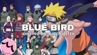 Blue Bird - Covered by matchaletto