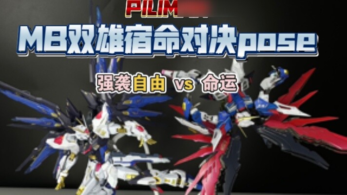 MB two heroes fate duel assault freedom vs fate cover pose