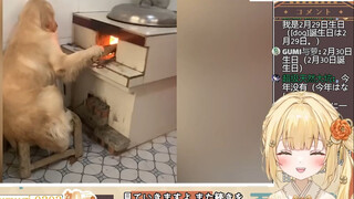 日本温柔小姐姐看《不结婚老了谁照顾你？请看VCR》