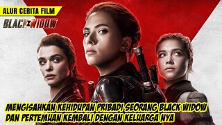 😱😱 TERNYATA BLACK WIDOW GAK CUMA 1 || Alur Cerita Film Black Widow (2021)