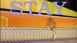 [MAD]Saat<Tom and Jerry> bertemu <Stay>...