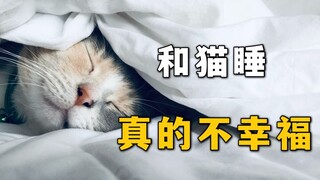 和猫一起睡觉，真的不幸福