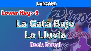 La Gata Bajo La Lluvia by Rocio Durcal (Karaoke : Lower Key : -3)