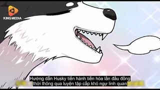 Thanh Niên Nuôi Một Con Husky Làm Thần Thú Cứ Tưởng Là Phế Vật Ai Dè Lại Là Một Thần Thú Có Thể Hủy