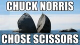 Funniest Chuck Norris Memes Out There!