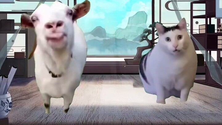 [Cat meme] Con người không phải lúc nào cũng xấu